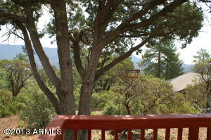 3453 N Kevin Dr, Pine, AZ 85544 photo 17