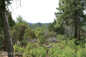 3453 N Kevin Dr, Pine, AZ 85544 photo 3