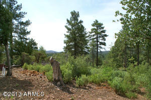 3453 N Kevin Dr, Pine, AZ 85544 photo 20