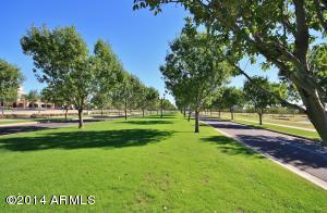 3908 E Morrison Ranch Pkwy, Gilbert, AZ 85296 photo 33