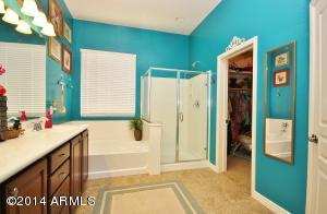 3908 E Morrison Ranch Pkwy, Gilbert, AZ 85296 photo 20