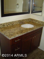 4150 E Cholla Canyon Dr, Phoenix, AZ 85044 photo 11