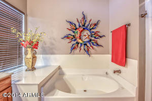 1241 N Abner --, Mesa, AZ 85205 photo 28