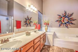 1241 N Abner --, Mesa, AZ 85205 photo 27