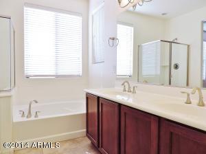 865 E Rojo Ct, Gilbert, AZ 85297 photo 20