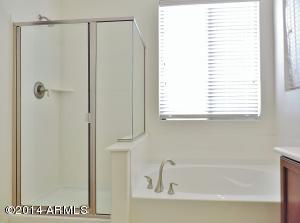865 E Rojo Ct, Gilbert, AZ 85297 photo 21