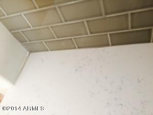 1729 E Rose Ln, Phoenix, AZ 85016 photo 15