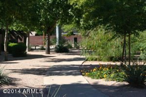 1026 Encinas Ave, Gilbert, AZ 85234 photo 53