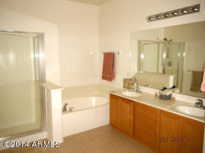 1872 E Megan St, Gilbert, AZ 85295 photo 14