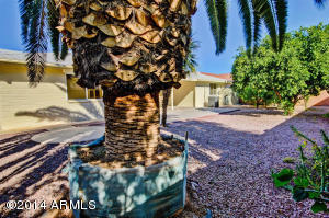 4537 Emerald Cir, Mesa, AZ 85206 photo 29