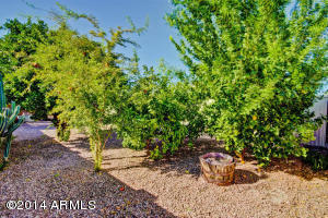 4537 Emerald Cir, Mesa, AZ 85206 photo 31
