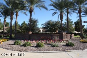 3245 S Salt Cedar Ct, Chandler, AZ 85286