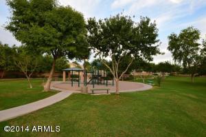 1828 E Harrison St, Gilbert, AZ 85295 photo 19