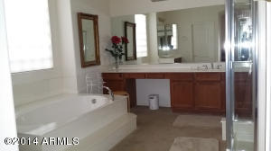 8735 E Hannibal St, Mesa, AZ 85207 photo 6