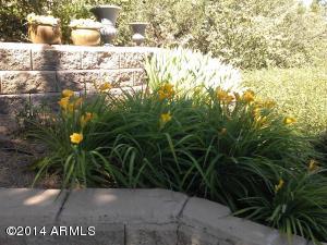 408 W Rim View Rd, Payson, AZ 85541 photo 15