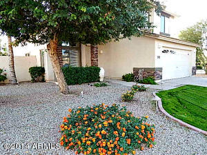 4195 E Megan Ct, Gilbert, AZ 85295 photo 53
