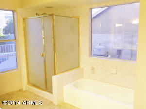4931 E Princess Dr, Mesa, AZ 85205 photo 14