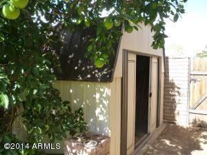 3033 E Larkspur Dr, Phoenix, AZ 85032 photo 39