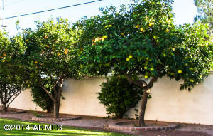2117 E Marquette Dr, Gilbert, AZ 85234 photo 15