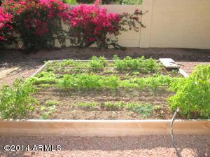3537 E Modoc Ct, Phoenix, AZ 85044 photo 51