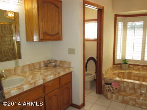 3537 E Modoc Ct, Phoenix, AZ 85044 photo 26