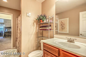 4223 E Sandy Way, Gilbert, AZ 85297 photo 24
