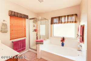 7154 E Navarro Ave, Mesa, AZ 85209 photo 35