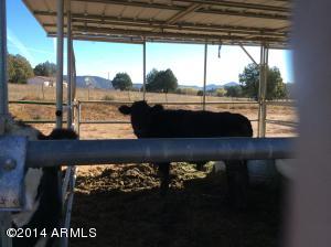 229 E Hazelwood Rd, Young, AZ 85554 photo 17