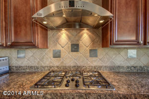 3944 E Parkside Ln, Phoenix, AZ 85050 photo 22