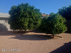 6035 Ensenada St, Mesa, AZ 85205 photo 27