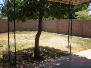 1915 E 7th Ave, Mesa, AZ 85204 photo 3