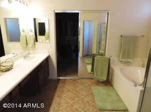 2036 E Beautiful Ln, Phoenix, AZ 85042 photo 10