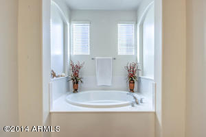 1965 E Mia Ln, Gilbert, AZ 85298 photo 45