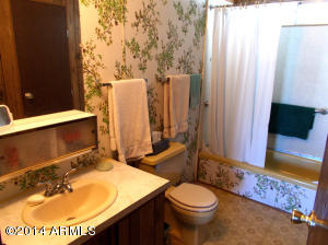 9044 Eleanor Ave, Mesa, AZ 85208 photo 19