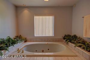1755 E Mallory St, Mesa, AZ 85203 photo 39