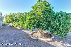 5323 E Dodge St, Mesa, AZ 85205 photo 29