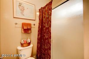 1341 E Macaw Ct, Gilbert, AZ 85297 photo 48