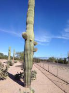 1356 S Cortez Rd, Apache Junction, AZ 85119 photo 20