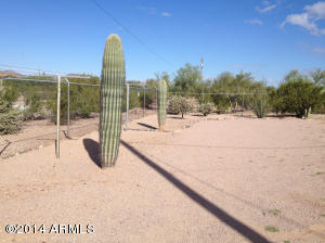 1356 S Cortez Rd, Apache Junction, AZ 85119 photo 17