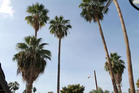 4811 N 15th Ave, Phoenix, AZ 85015 photo 12
