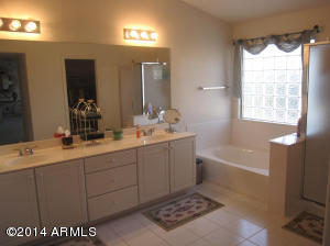 9438 E Jan Ave, Mesa, AZ 85209 photo 11