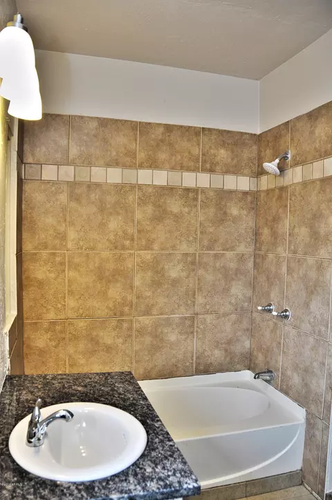 443 E Millett Ave, Mesa, AZ 85204 photo 22