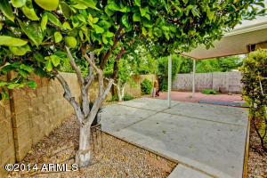 619 E Jensen St #61, Mesa, AZ 85203 photo 30