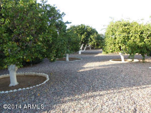 3160 E Main St #21, Mesa, AZ 85213 photo 8