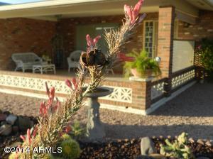 4766 E Dragoon Ave, Mesa, AZ 85206 photo 1