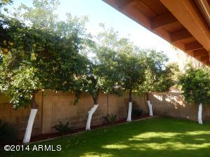 813 E Drake Dr, Tempe, AZ 85283 photo 7