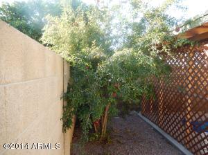813 E Drake Dr, Tempe, AZ 85283 photo 11