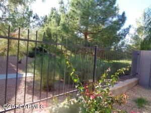 3307 E Maldonado Dr, Phoenix, AZ 85042 photo 9