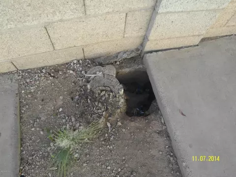 2019 W Turney Ave, Phoenix, AZ 85015 photo 70