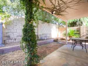 3028 E Bluefield Ave, Phoenix, AZ 85032 photo 25